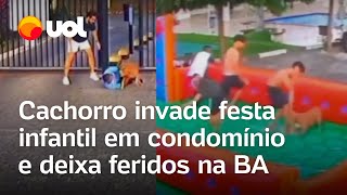 Cachorro invade festa infantil em condomínio e deixa feridos na BA veja vídeos [upl. by Miche675]