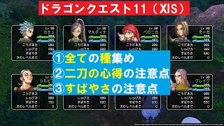 ドラクエ11s 全ての種集め 『ドラゴンクエストXI 過ぎ去りし時を求めて S』 PS4版 「ネタバレあり」 [upl. by Phares]