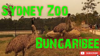 Sydney Zoo  Bungarribee  First Day Opening [upl. by Bartlett479]