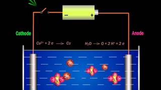 Class XIXII  Electrolysis of Aq CuSO4 Using Inert Electrode  Dr Amal K Kumar [upl. by Cooke]