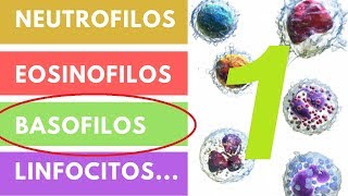 LEUCOCITOS » ¿Qué son Funciones Valores adecuados Parte 1 [upl. by Zeitler982]