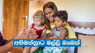 Relaxing Family Trip  Serenity Boutique Unawatuna  Sri Lankan Mom [upl. by Fellner]