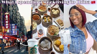 How Much I Spend in a Week as an International Student living In China [upl. by Ahseikal583]