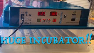 HETHYA Incubator Huge incubator assembly amp set up [upl. by Boigie]