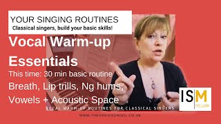 Building Classical Singing Skills 4 Breath Support Resonance Vowels  Tone [upl. by Hanid]