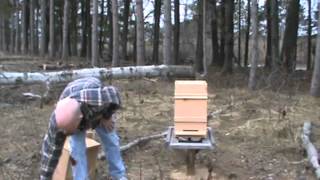 How to set up a Warre hive [upl. by Cinomod9]