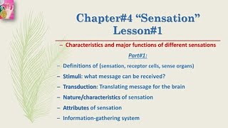 Sensation  in English language  by Dear Knowledge [upl. by Emarie]