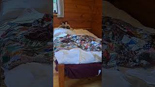 Marthas Vineyard Campground one room cabin tour [upl. by Allison]