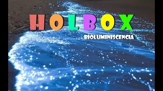 HOLBOX BIOLUMINISCENCIA [upl. by Stanislas]