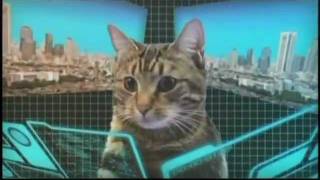 Adult Swim  Mecha Cat Commercial [upl. by Aim]