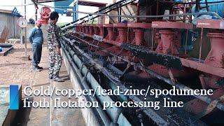 Looking for a reliable and efficient flotation process plant line [upl. by Terrilyn]