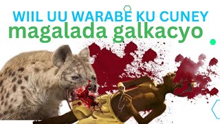 NAXDIN WIIL UU WARABE KU CUNAY MAGALADA GALKACYO [upl. by Artus]