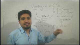 Biological molecules Biochemistry Molecules Types of Molecules [upl. by Thorne]