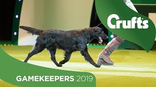 Gamekeepers Competition Final  Crufts 2019 [upl. by Reinnej]