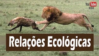 Relações Ecológicas entre os seres vivos [upl. by Orvil]