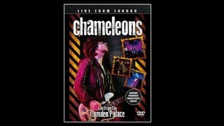 The Chameleons  In Shreds [upl. by Saffier]