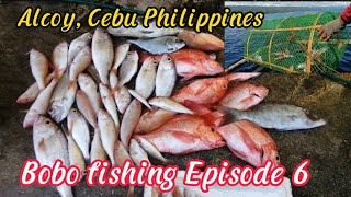 Episode 6 bobo fishing Fish trap Alcoy Cebu Philippines [upl. by Yreme]