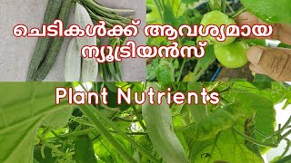 ചെടികൾക്ക് ആവശ്യമായ ന്യൂട്രിയെനൻസ്  plant nutrients  aquaponics  fish farming  hydroponics [upl. by Latreese]