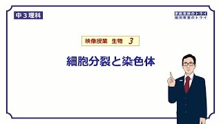 高校生物基礎「手の動きで”細胞周期”を覚える！？」 [upl. by Namurt]