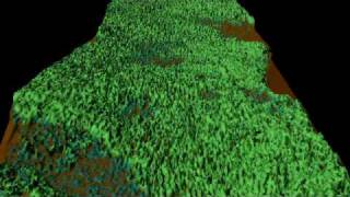 LiDAR Survey Demonstration  Remove the Forest to Reveal the Bare Earth [upl. by Ahsenrac]