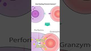 Can Fasting Prevent Cancer [upl. by Wearing]