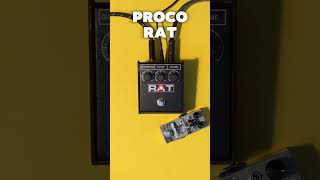 ProCo RAT vs Wampler Ratsbane [upl. by Amlet]