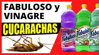 ⭐ FABULOSO y VINAGRE para CUCARACHAS ⭐ [upl. by Lusty]