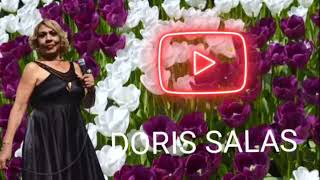 DORIS SALAS Mix 2023 [upl. by Noek]