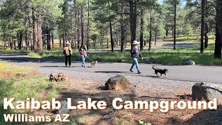 CAMPING AT KAIBAB LAKE CAMPGROUND  WILLIAMS AZ [upl. by Lavro]