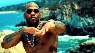 WhistleFlo Rida Lyrics [upl. by Eleirbag]