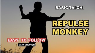 Repulse Monkey  Tai Chi for Beginners [upl. by Latsyrhc745]