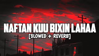 Naftan Kuu Bixin Lahaa  Qamar Suugaani Slowed  Reverb [upl. by Ahtela]