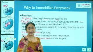 Enzyme immobilization Unit 4 Lecture 1 [upl. by Fitting]