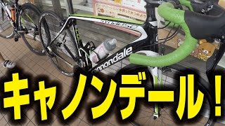 Cannondale Synapse 2017  キャノンデール シナプスの紹介です【ロードバイク紹介358】 [upl. by Cira1]