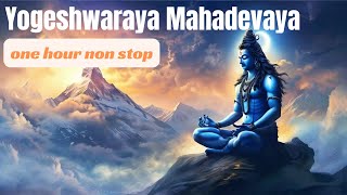 Yogeshwaraya Mahadevaya  Shiva Stotram  One Hour Non Stop [upl. by Ynohtnad889]