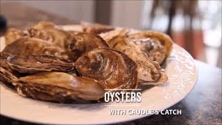 Oysters and Mignonette Sauce [upl. by Enihpad]