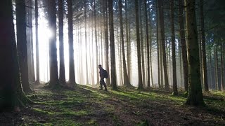 Metal detecting quotArdennes Forest SPECIALquot 25 [upl. by Aicilram472]