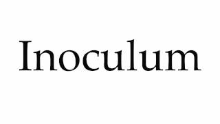 How to Pronounce Inoculum [upl. by Rodmur]