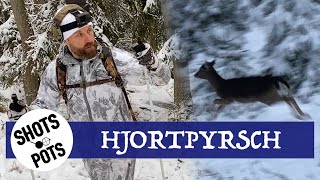 SMYGJAKT PÅ DOVVILT  Lubbe tar på sig skidorna och jagar hjort [upl. by Lorant773]