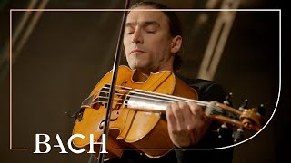 Bach  Cello Suite no 6 in D major BWV 1012  Malov  Netherlands Bach Society [upl. by Samella]