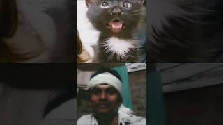 ये क्या हो गया🤣 comedy funny surajroxfunnyvibeo realfoolscomedy fun shortvideos comedyvideos [upl. by Aninnaig]