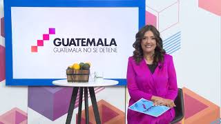 Agroindustria en Guatemala cómo la innovación puede generar más exportaciones y empleos en el país [upl. by Gurolinick53]