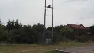 2007 test of an Essex flood warning siren [upl. by Ecidnacal]