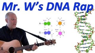 DNA Fantastic Mr Ws DNA Rap [upl. by Vihs260]