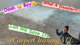 Carpet Cleaning Disaster Can We Handle It [upl. by Yarvis]