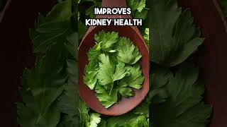 Discover the Incredible Health Benefits of Parsley healthyfood [upl. by Anyalram118]