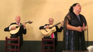 Fado i Funchal [upl. by Omolhs]