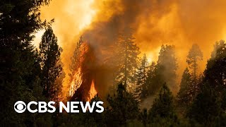 Videos show Park Fires destruction in Northern California [upl. by Glennis]