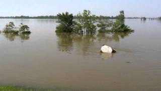 Mississippi River Flood 2011 Whirlpool endangers Interstate [upl. by Orsay]