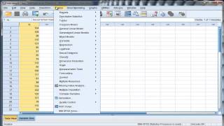 Onesample ttest  SPSS Part1 [upl. by Yrocej]